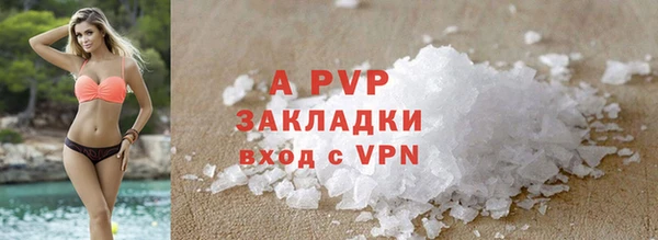 PSILOCYBIN Навашино