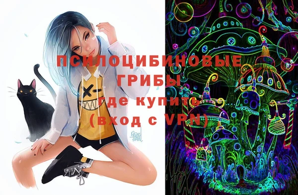 PSILOCYBIN Навашино