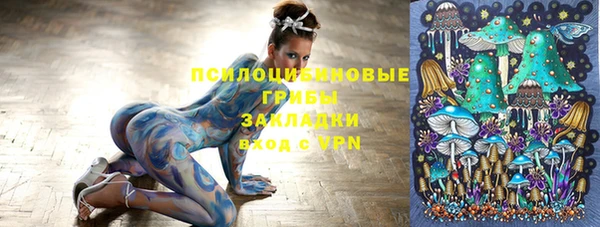 альфа пвп Надым
