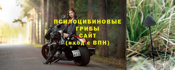 PSILOCYBIN Навашино