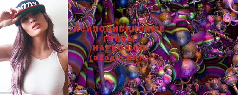 где продают наркотики  Калачинск  Галлюциногенные грибы MAGIC MUSHROOMS 