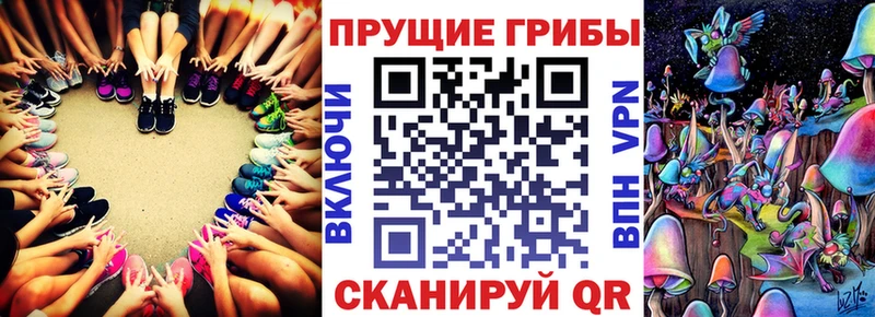 Псилоцибиновые грибы GOLDEN TEACHER  кракен tor  Калачинск 